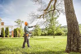Best Firewood Processing and Delivery  in Point Roberts, WA