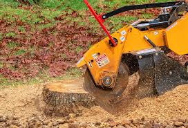 Best Tree and Shrub Care  in Point Roberts, WA